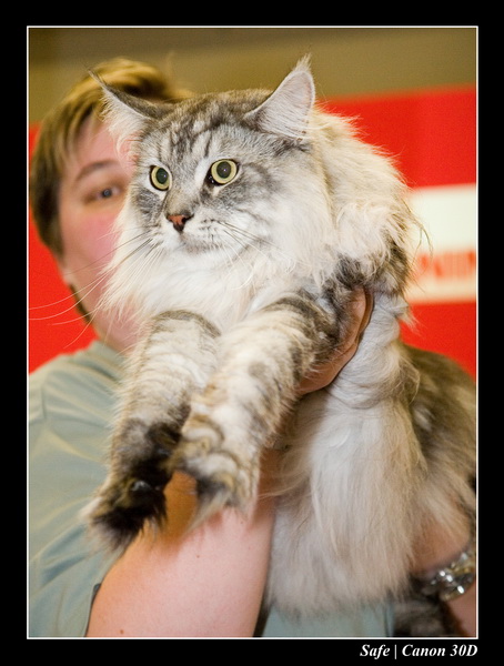 Sep 06 - Salon des animaux de compagnies - 32